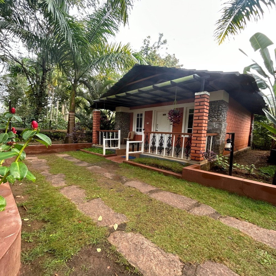 plumeria front view2