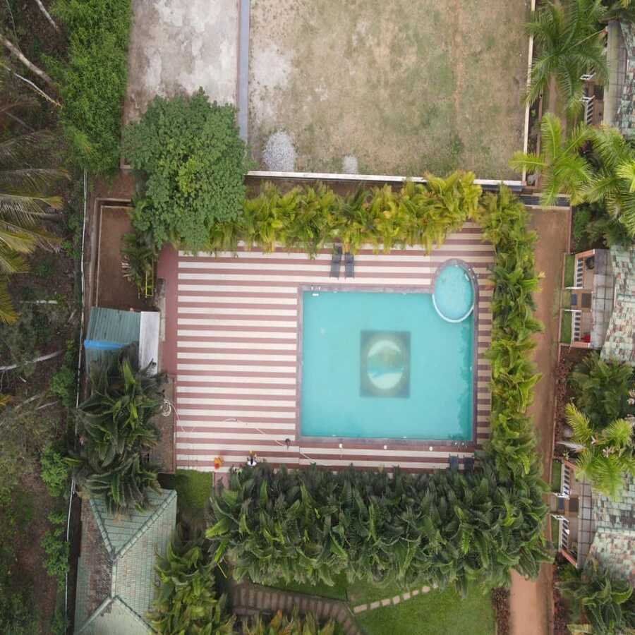 plumeria pool 2